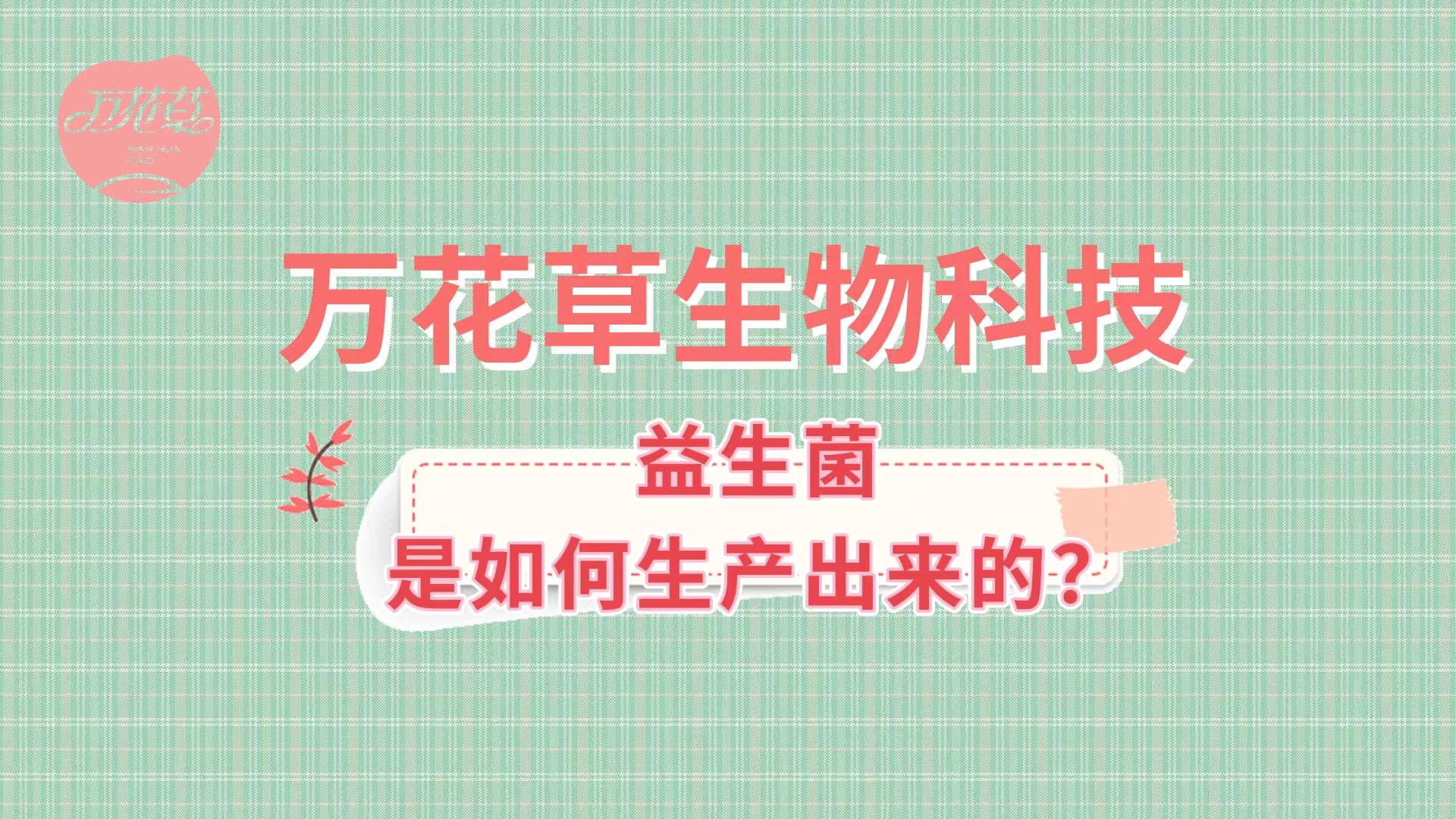 帶您了解益生菌是如何生產出來的,好的廠家哪里找？